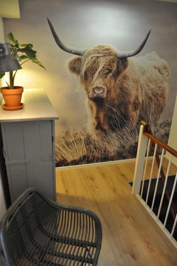 Kust Appartement Egmond aan Zee Luaran gambar